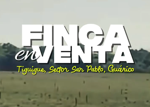 exclusiva finca las estrellas tiguigue estado guarico venezuela, finca las estrellas exclusiva tiguigue estado guarico venezuela, tiguigue estado guarico venezuela exclusiva finca las estrellas, venta exclusiva finca las estrellas tiguigue guarico venezuela, finca exclusiva las estrellas en tiguigue estado guarico venezuela, en venta finca las estrellas tiguigue estado guarico venezuela